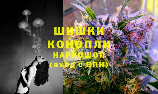 дмт Барнаул
