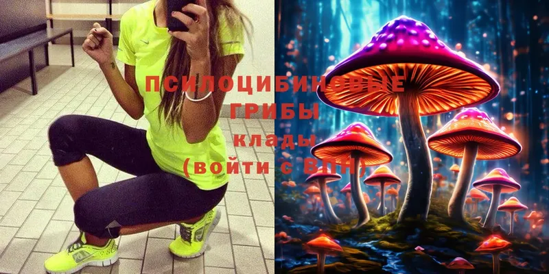 Псилоцибиновые грибы MAGIC MUSHROOMS  это наркотические препараты  Ноябрьск 