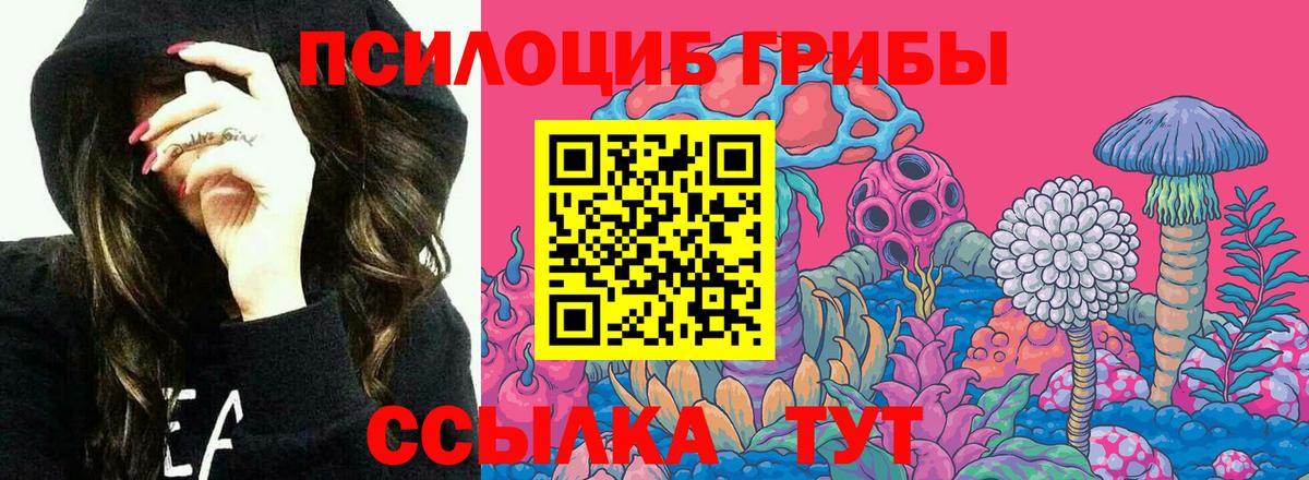 Галлюциногенные грибы ЛСД Ноябрьск